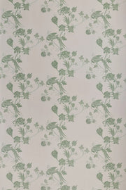 Plaster/Green - WP