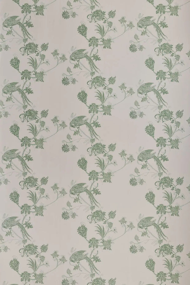 Plaster/Green - WP