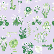 Lilac & Celadon - WP