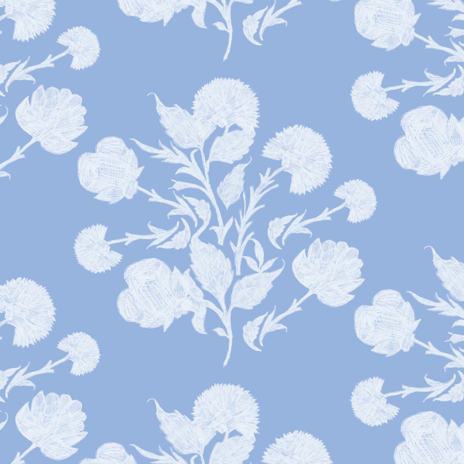 Blue Cornflowers HD phone wallpaper  Peakpx
